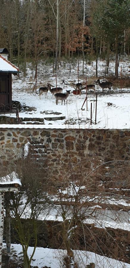 Hajovna Hnevnice Bagian luar foto