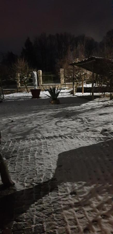 Hajovna Hnevnice Bagian luar foto